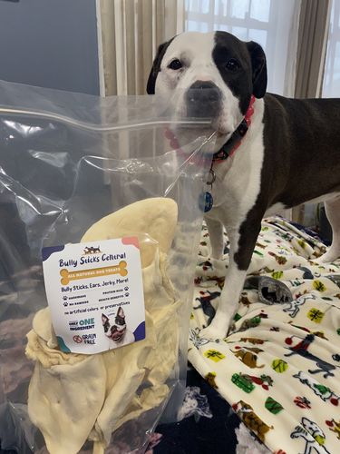 Customer photo review of Cow Ears For Dogs