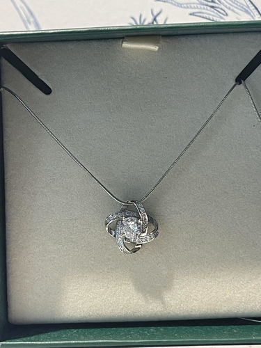 Customer photo review of *LIMITED EDITION* Claddagh Heart™ Stainless Steel Charm Necklace