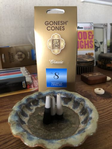 Customer photo review of Gonesh Extra Rich Cones 8 Spring Mist
