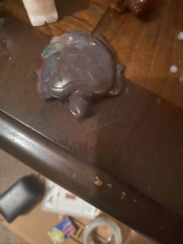Customer photo review of Moss Agate Sea Turtle