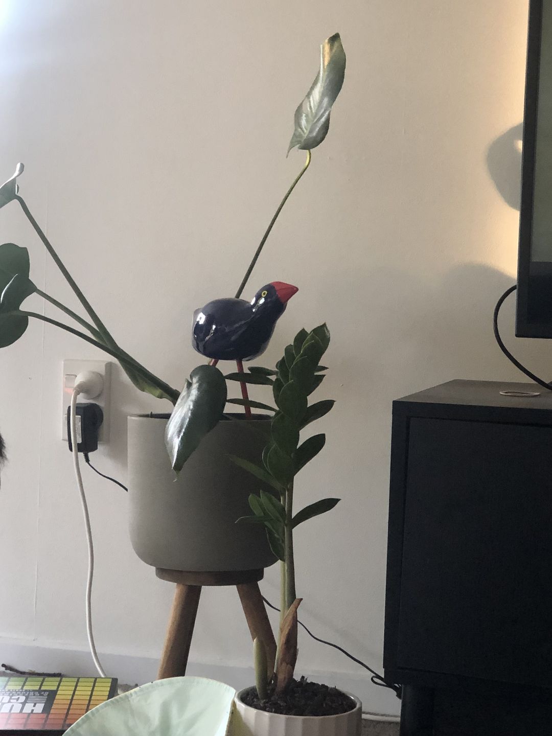 Customer photo review of New Zealand Ceramic Garden Pukekos
