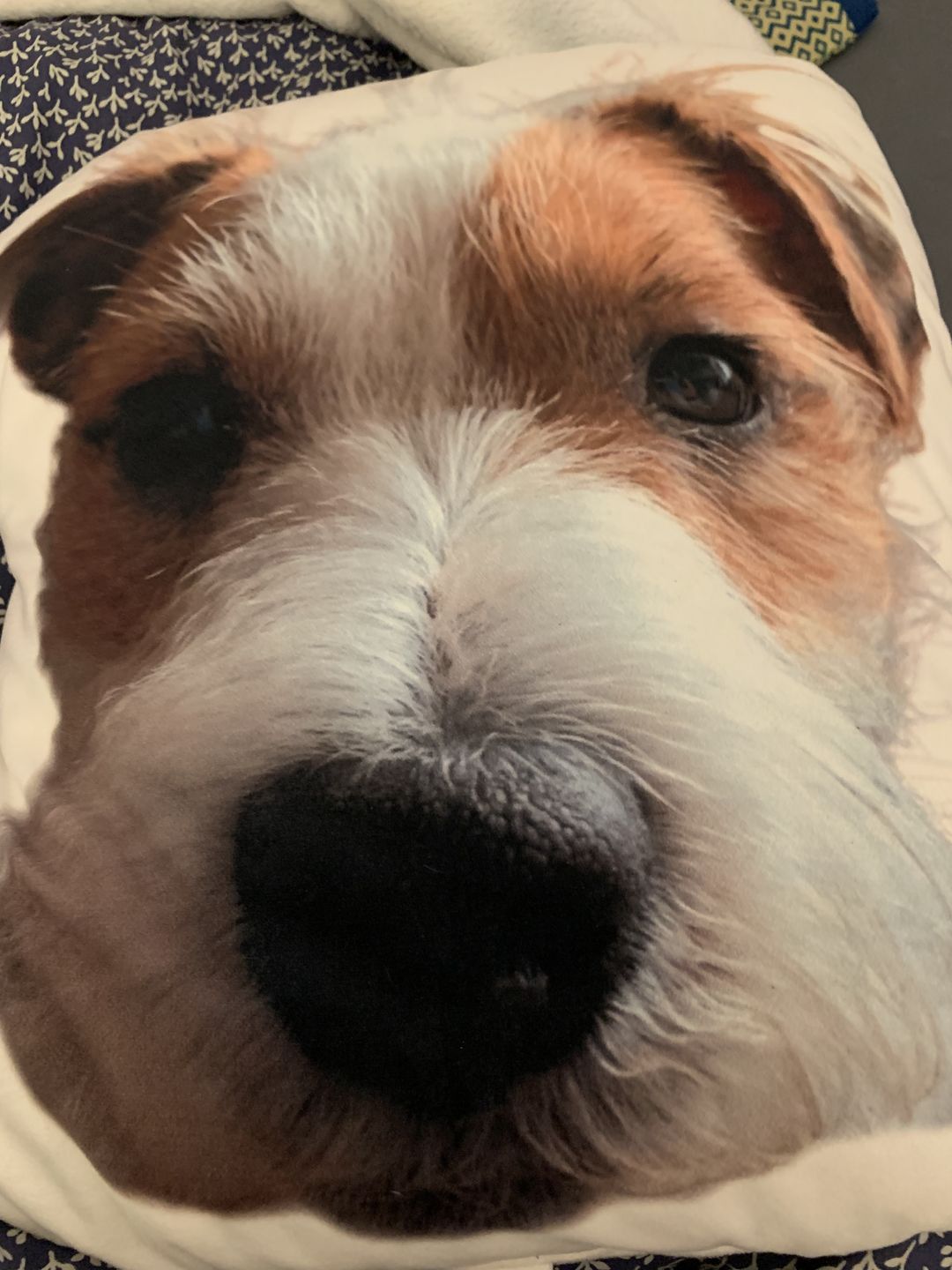 Customer photo review of Personalisiertes Tiergesichterkissen