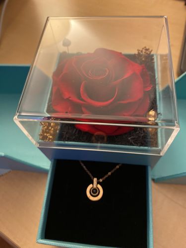 Customer photo review of I LOVE YOU IN 100 LANGUAGES NECKLACE PRESERVED XL FOREVER ROSE BOX
