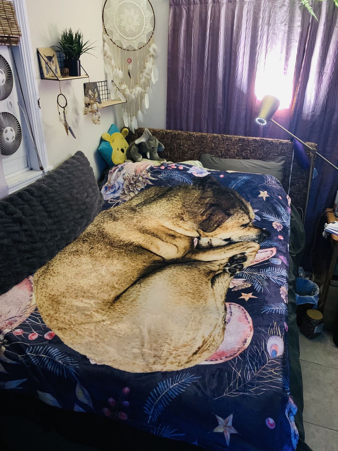 Customer photo review of Custom Pet Art Fleece Blanket