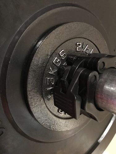 Customer photo review of Cast Iron Weight Plates 2" inner diameter ( PAIRS)