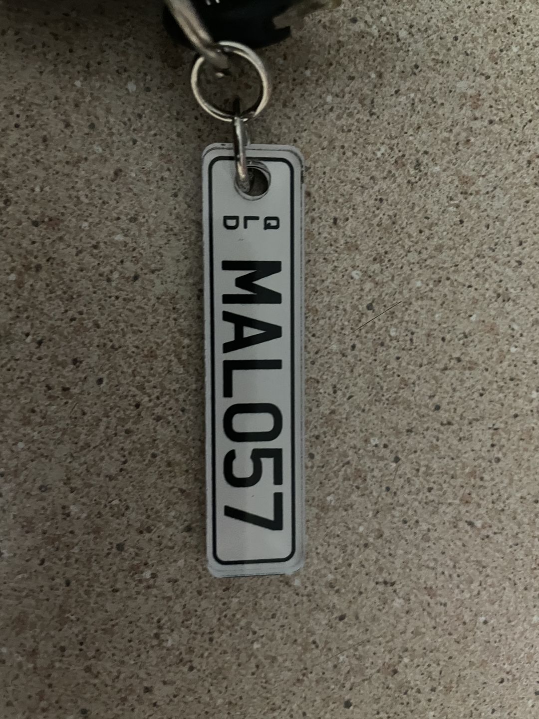 Customer photo review of QLD Classic Licence Plate Custom Keychain