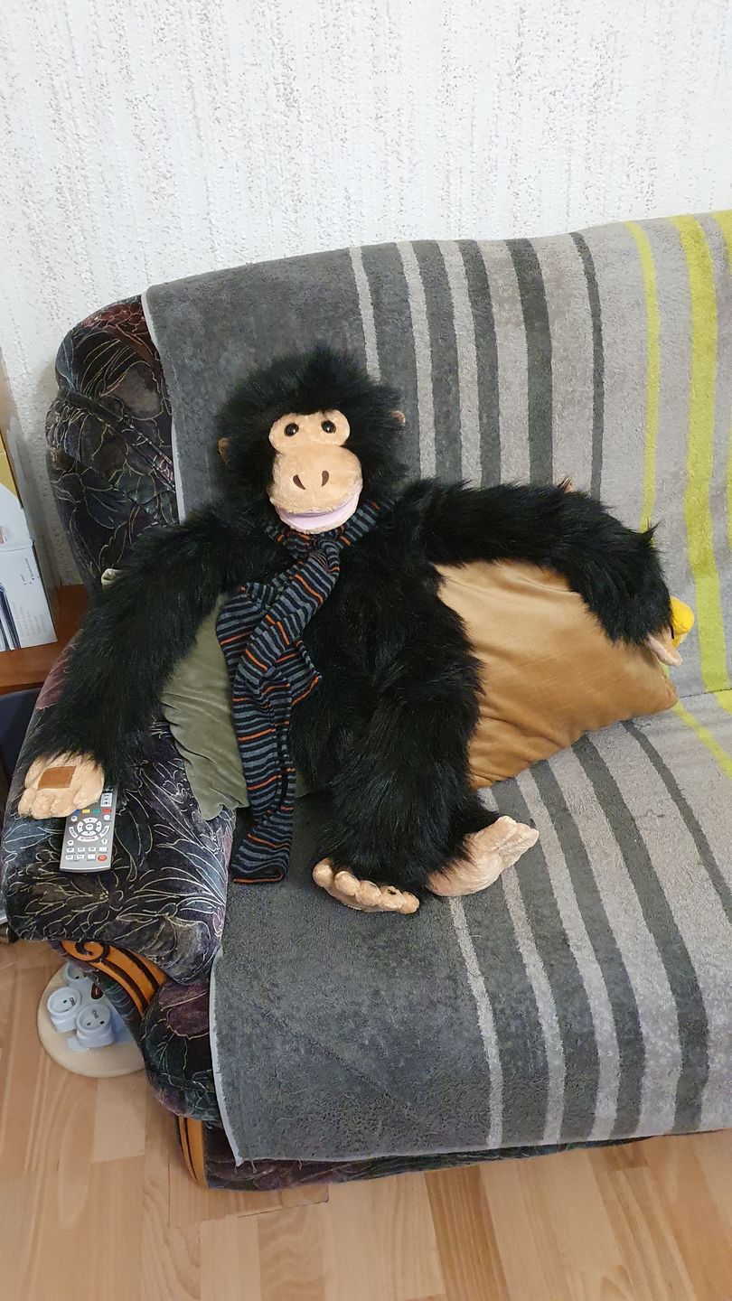 Customer photo review of Orang-outan Marionnette