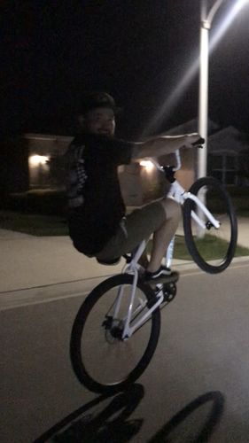 Customer photo review of Twenty9er BMX Bike