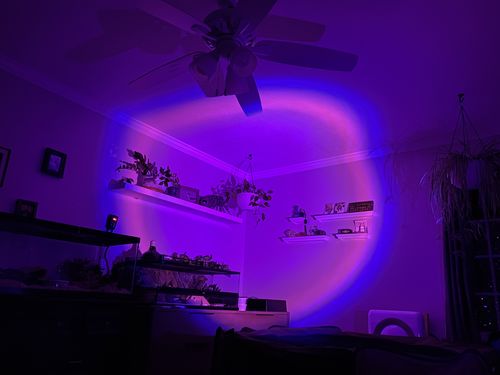 Customer photo review of The Sunset Lamp™