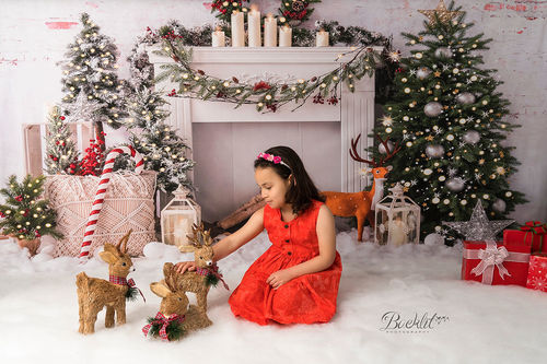 Customer photo review of Kate Christmas Boho Fireplace Elk Backdrop Designed by Emetselch