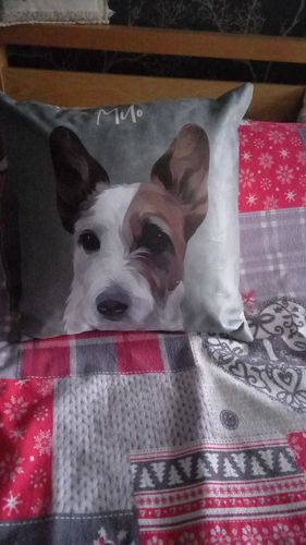 Customer photo review of Modern - Custom Pet Cushion