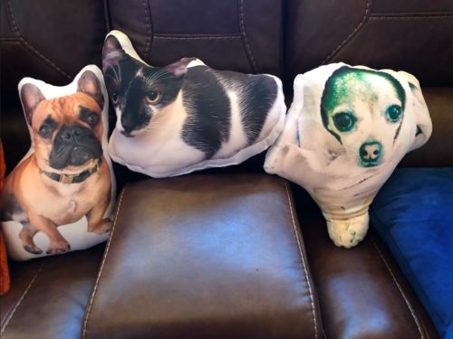 Customer photo review of Create A Custom Cat Pillow