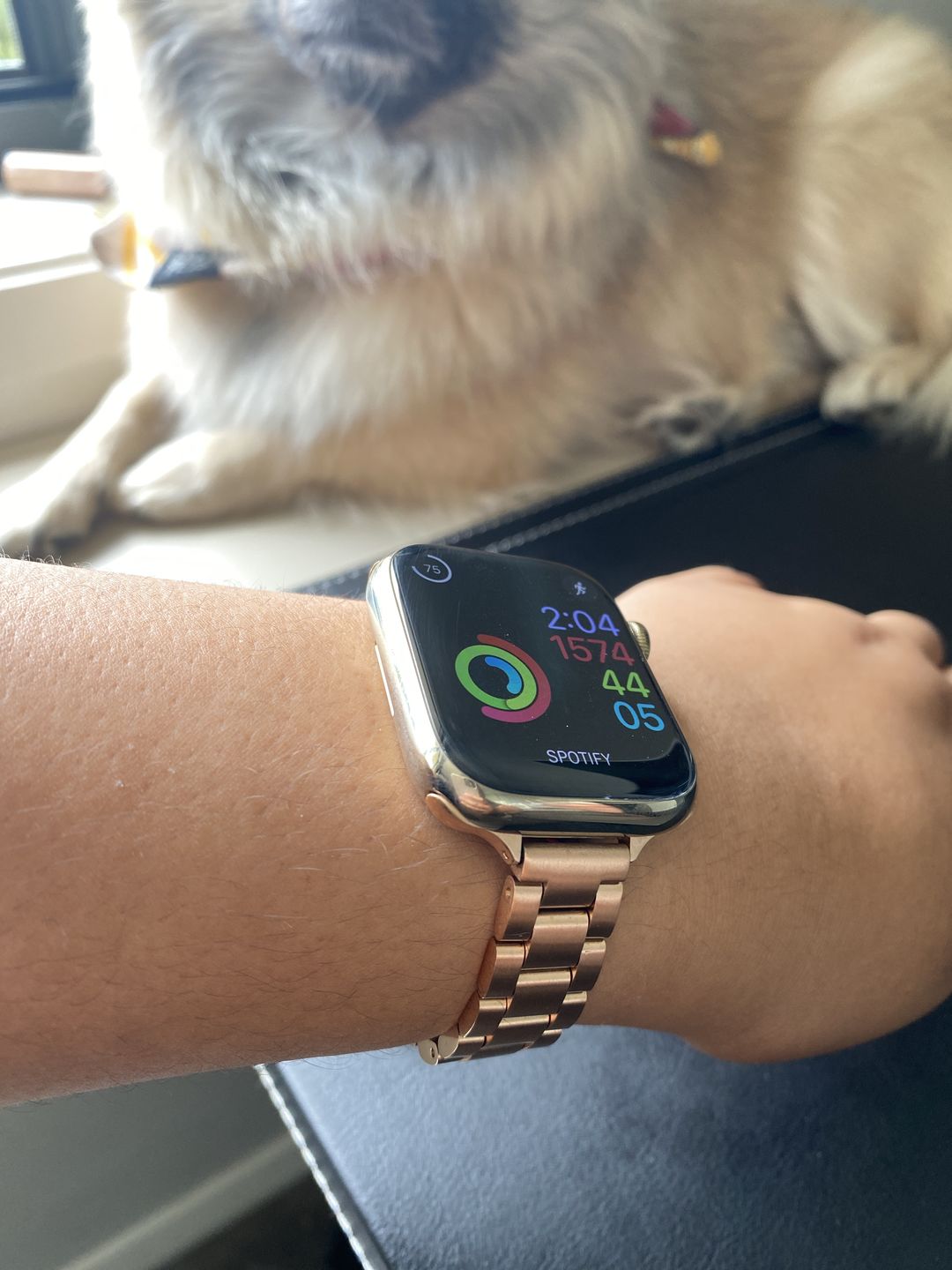 Customer photo review of Kyoto Metal Strap (4 Colours)