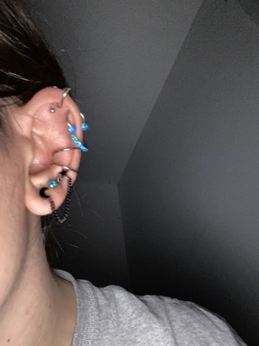 Customer photo review of Crescent Moon and Star Chain Linked Cartilage Ring