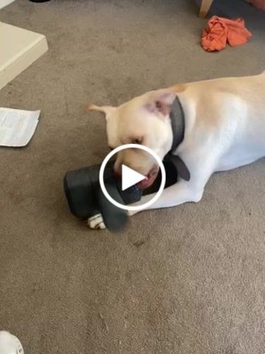 Customer video review of The Fenrir Hammer