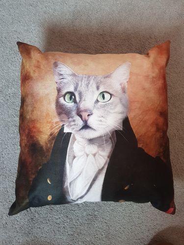 Customer photo review of The Baron - Custom Pet Cushion