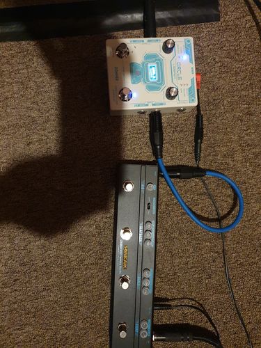 Customer photo review of Donner New Circle Looper Guitar Effect Pedal with Time Progress Bar Display Drum Machine