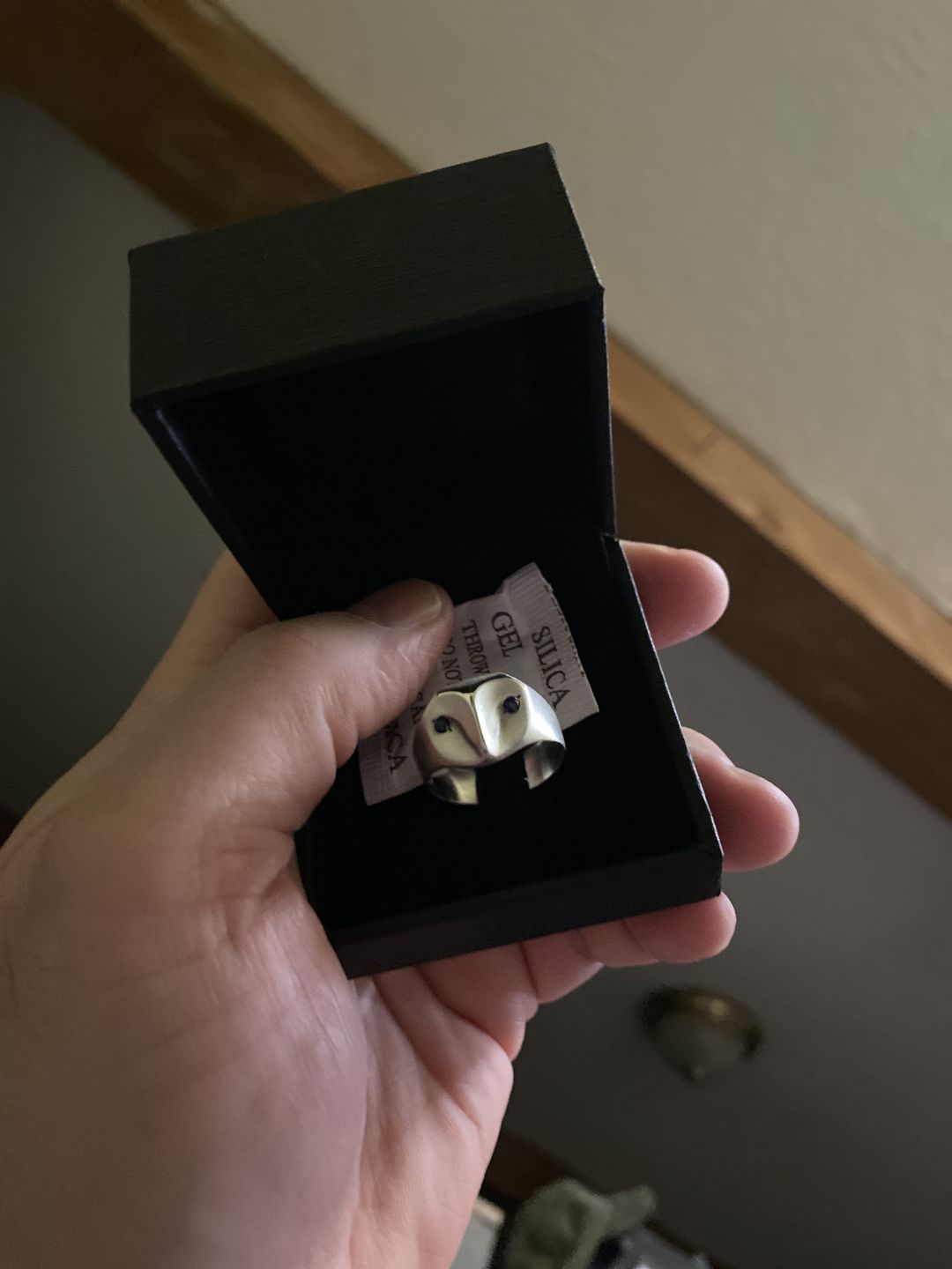 Customer photo review of Owl Ring with Sapphire Eyes