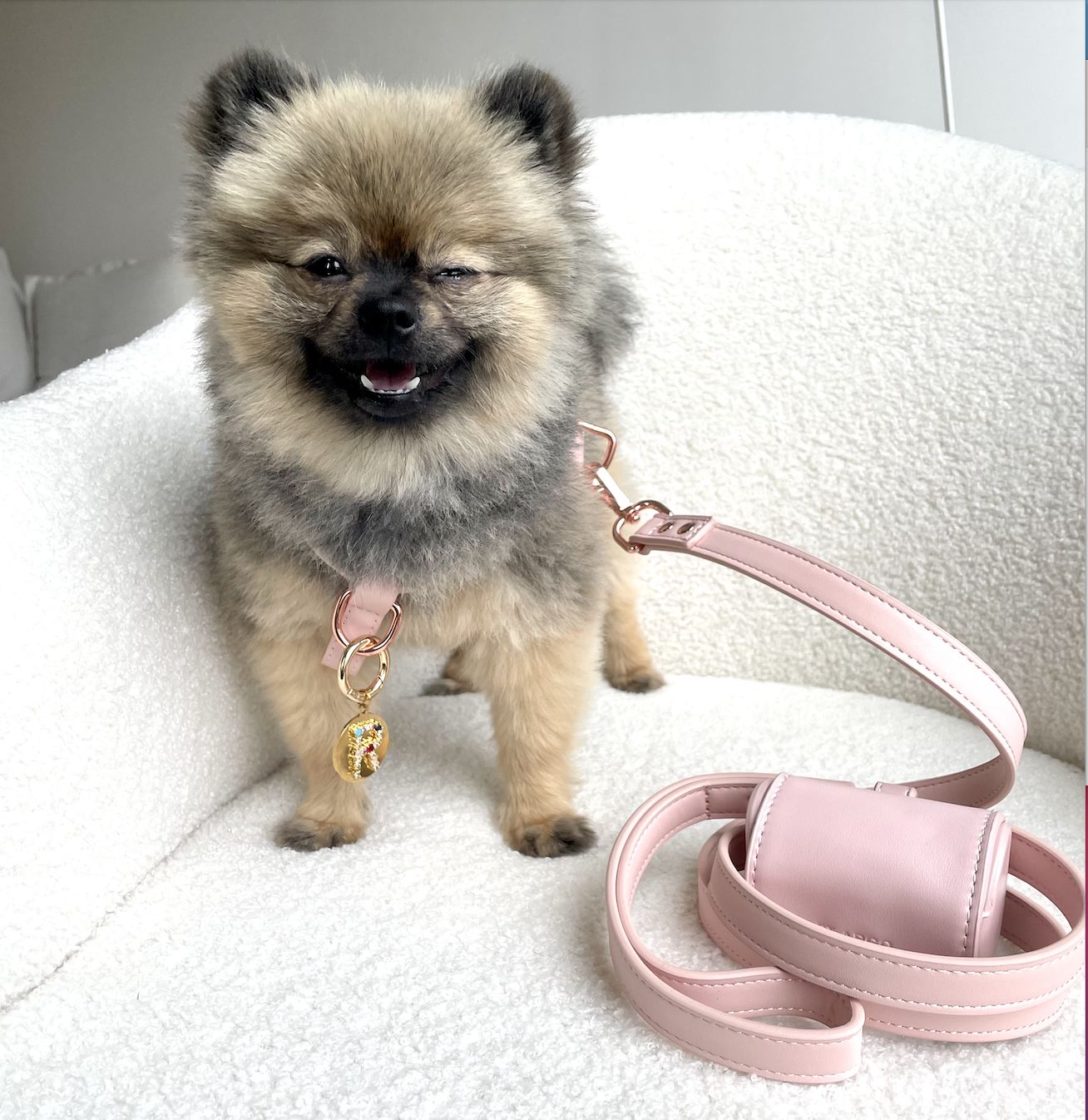 Customer photo review of HARNESS - Pale Pink