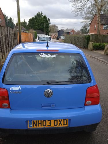 Customer photo review of Classic | Sticker