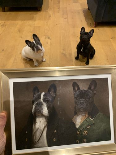 Customer photo review of The Baron & The Count  – Custom Vintage Pet Portrait