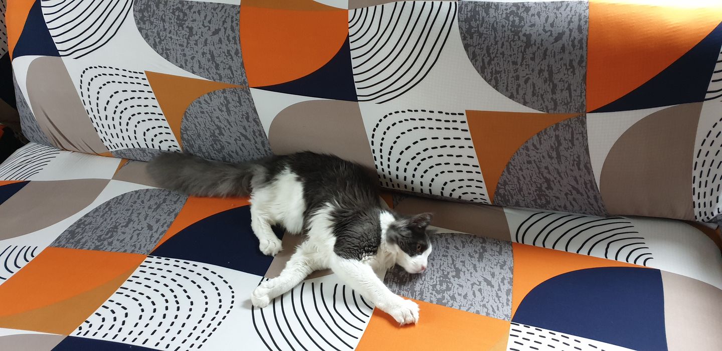 Customer photo review of Vintage - Housses Extensibles de Fauteuil et Canapé