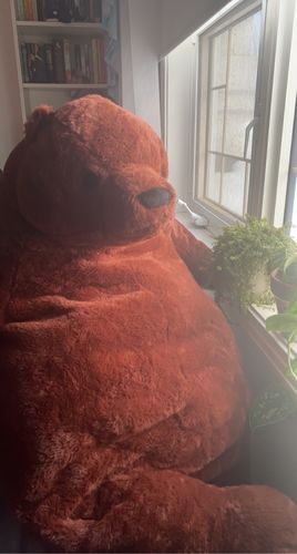 Customer photo review of SKOGGY BEAR