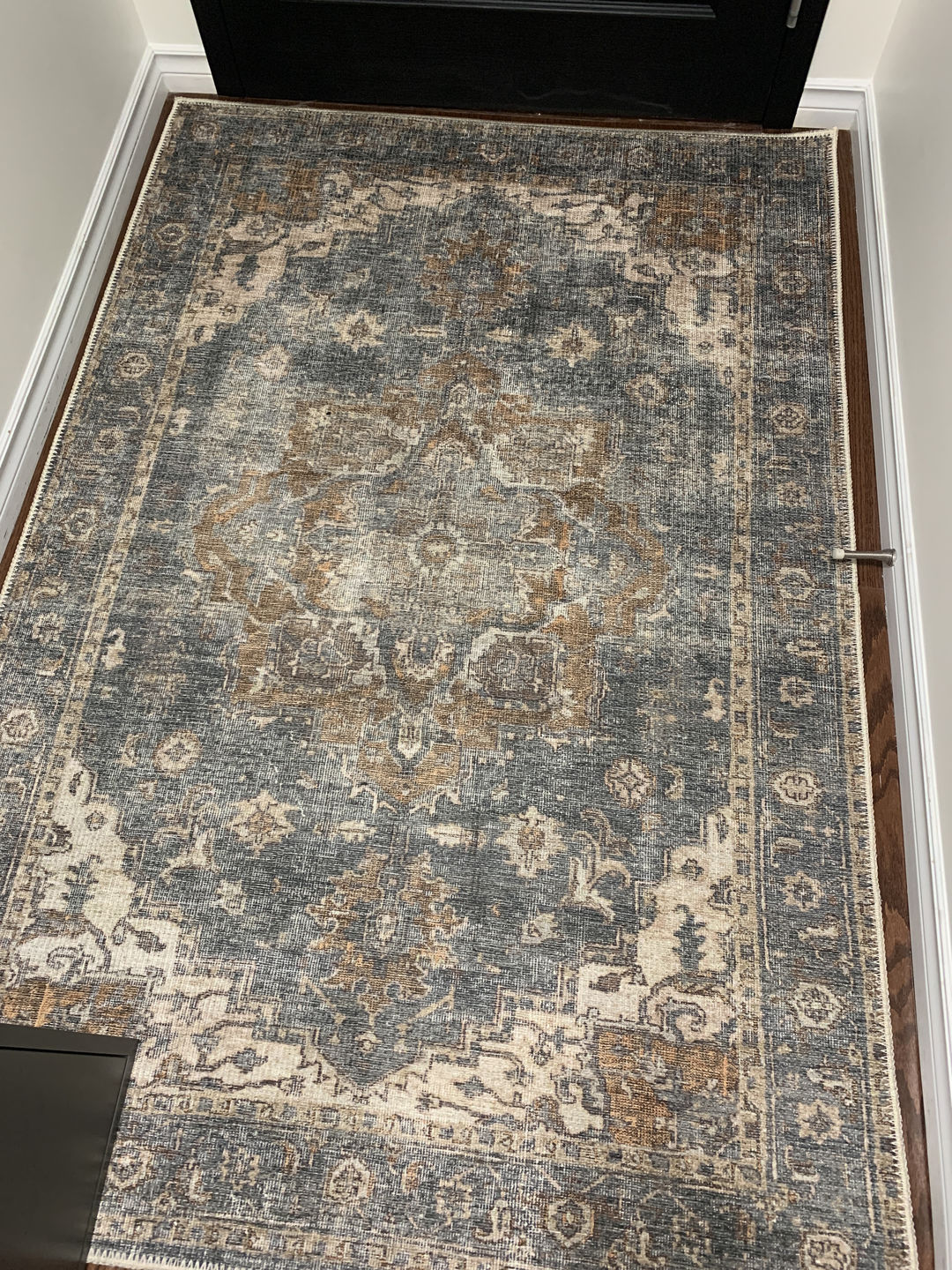 Customer photo review of Distressed Vintage Cezanne Rabbit Gray Inca Gold Area Rug
