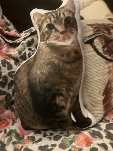 Customer photo review of Create A Custom Cat Pillow