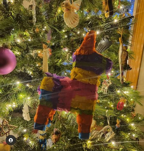 Customer photo review of Tropical Piñatagram (Filled with Candy)