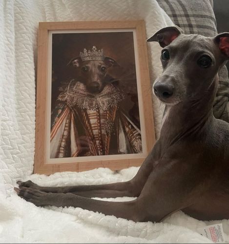 Customer photo review of The Queen - Custom Vintage Pet Portrait