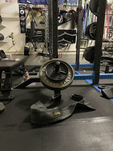 Customer photo review of Belt squat attachment