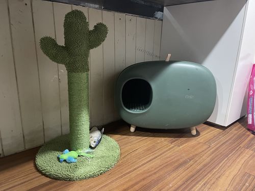 Customer photo review of Makesure Modern Cat Litter Box