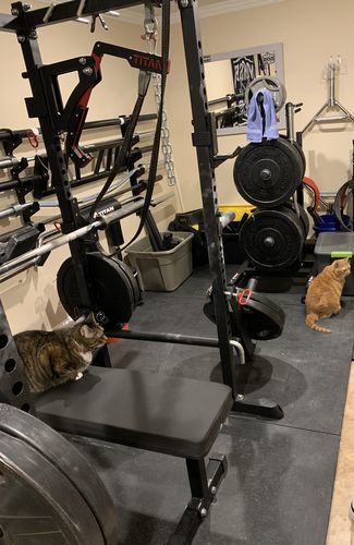 Customer photo review of Belt squat attachment