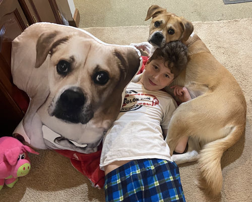 Customer photo review of Create A Custom Dog Pillow
