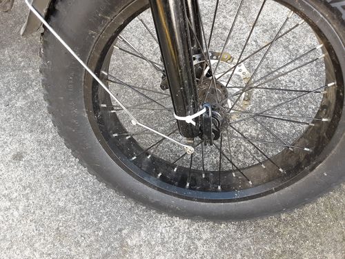 Customer photo review of VTUVIA SF20 Step-Thru Folding Fat Tire E-Bike