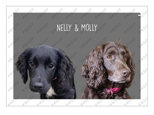Customer photo review of Classic - Custom Pet Portrait
