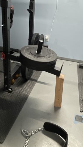 Customer photo review of Belt squat attachment