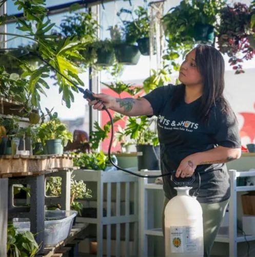 Customer photo review of Houseplant Insecticide w/ Neem