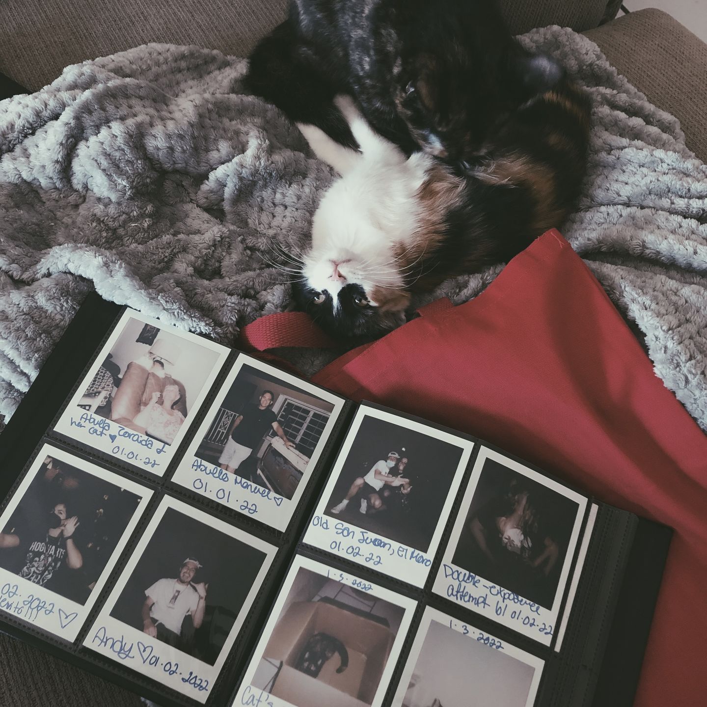 Customer photo review of Polaroid Photo Album Black - Large - 160 Photos