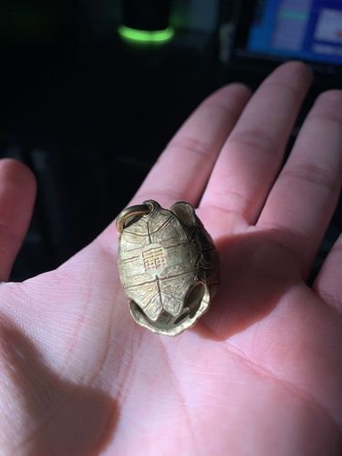 Customer photo review of Tortoise Bell Pendant | Brass