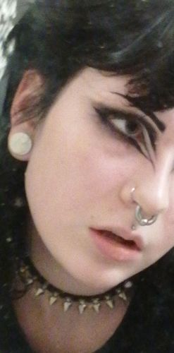 Customer photo review of Lil Tree Spike Collar