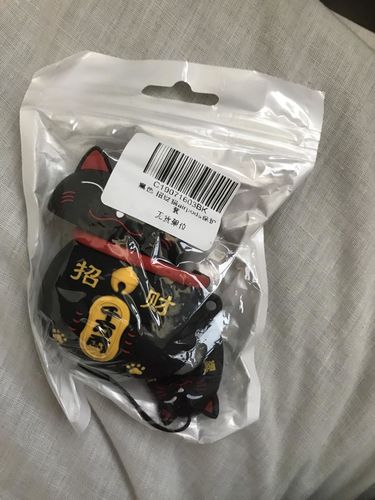 Customer photo review of Lovely Lucky Cat Airpods Case