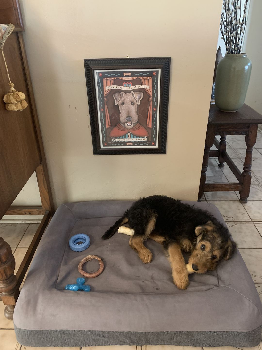 Customer photo review of Airedale Terrier Art "Patron Saint of Clowns" Art Print by Krista Brooks