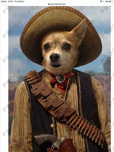 Customer photo review of The Outlaw - Custom Vintage Pet Portrait