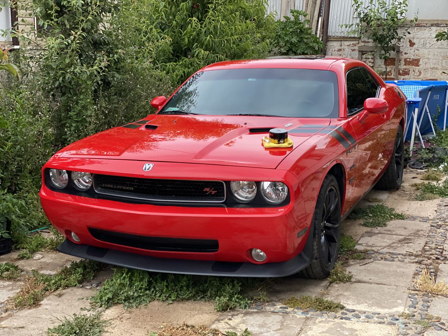 Customer photo review of Cera Fusso Coat Autos Oscuros 200g