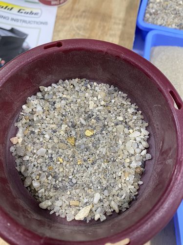 Customer photo review of *BOGO* Gold Diggers Delight '10 TROY OUNCE GOLD HUNT' - Gold Paydirt Panning Concentrates