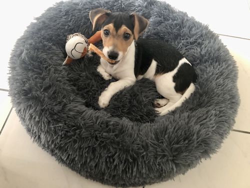 Customer photo review of Puppery Kuschelbett - Das Original
