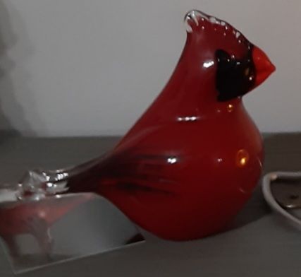 Customer photo review of Glass Cardinal with Infused Cremation Ashes