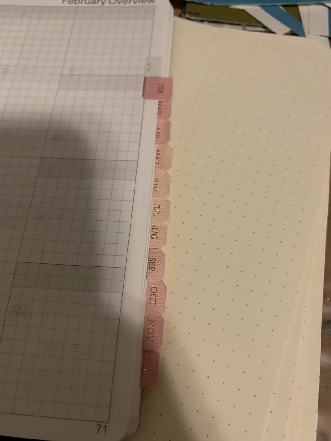 Customer photo review of Monthly Index Tabs